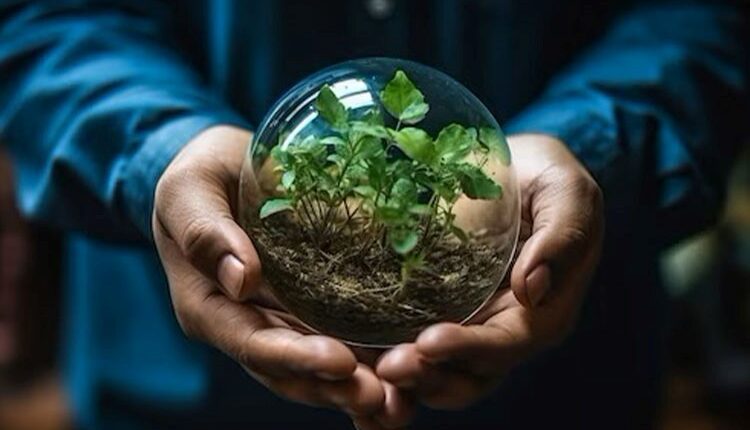 چگونه از فناوری برای حل مشکلات محیط زیست در سال 2024 استفاده کنیم؟